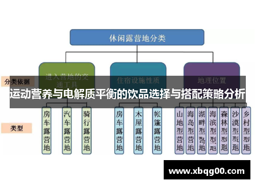 运动营养与电解质平衡的饮品选择与搭配策略分析